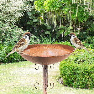 Bird drinks bird bath feed station ranks - rustbraun - 33x28x61 cm
